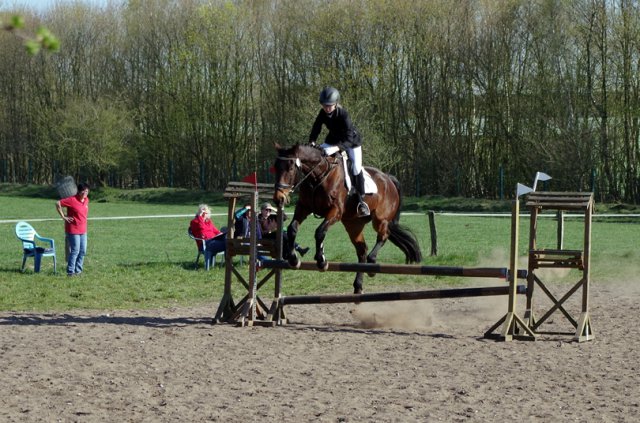 Reitertag_2019